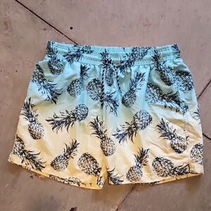 Pineapple Print Men's Shorts